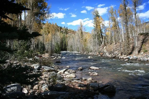 The Animas River near Country Sunshine Bed & Breakfast